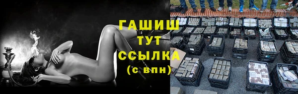гидра Абаза