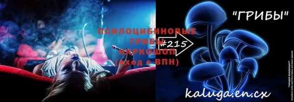 2c-b Инсар