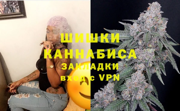 гидра Абаза