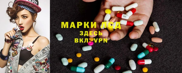 шишки Семилуки