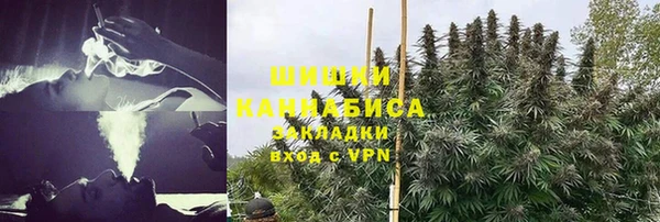 гидра Абаза