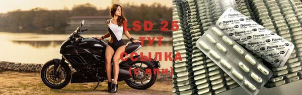 гидра Абаза
