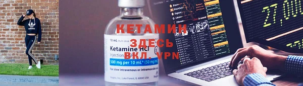 гидра Абаза