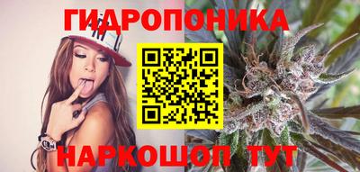 хмурый Боровичи